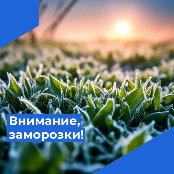 ШТОРМОВОЕ ПРЕДУПРЕЖДЕНИЕ. ШТОРМОВОЕ ПРЕДУПРЕЖДЕНИЕ.